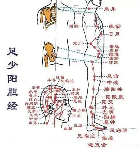 少陰意思|少陰的解釋